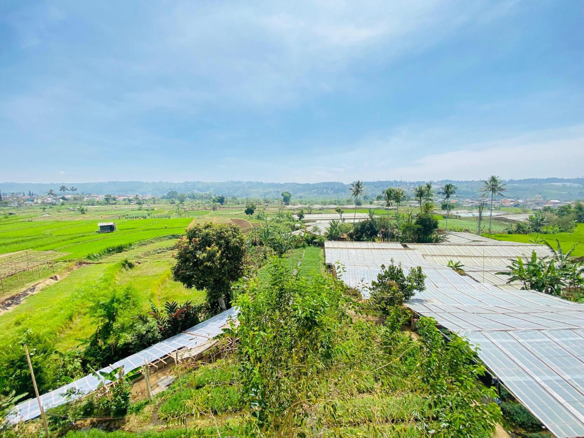 Cibadak  Villa Imperial Diamond מראה חיצוני תמונה
